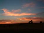 DSCF0659