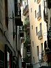DSCF0506.jpg