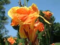 DSCF0612