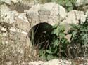 DSCF0940